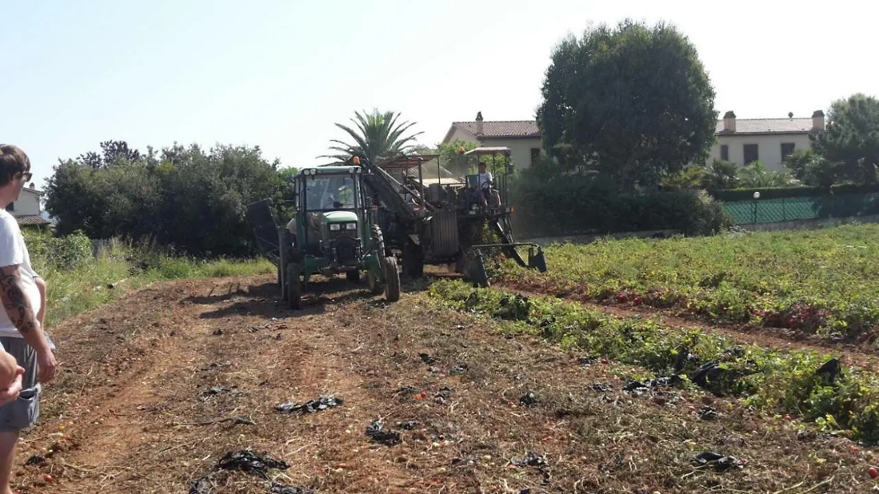 Agriturismo Campallegro Cecina  Vakantieboerderij Cecina (Livorno)